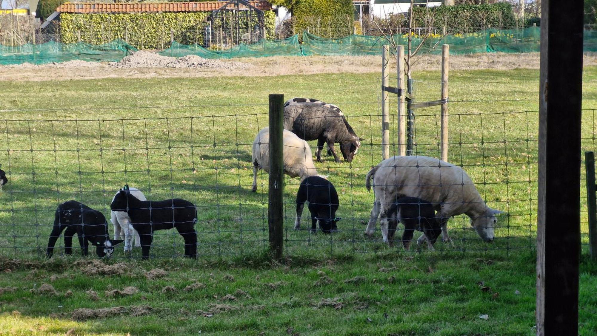 Hemmer Hoeve Eksteriør billede